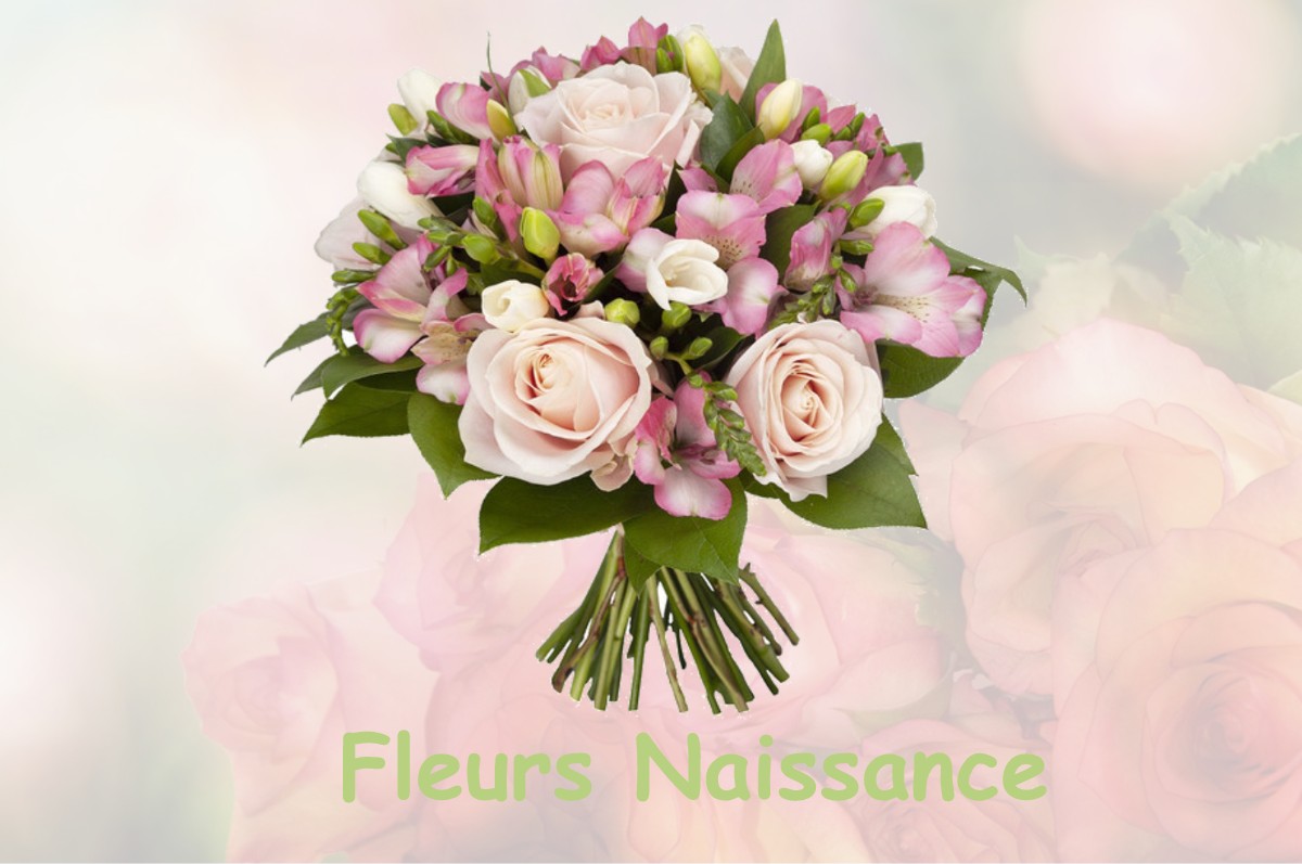 fleurs naissance SAINT-PIERRE-DE-LA-FAGE