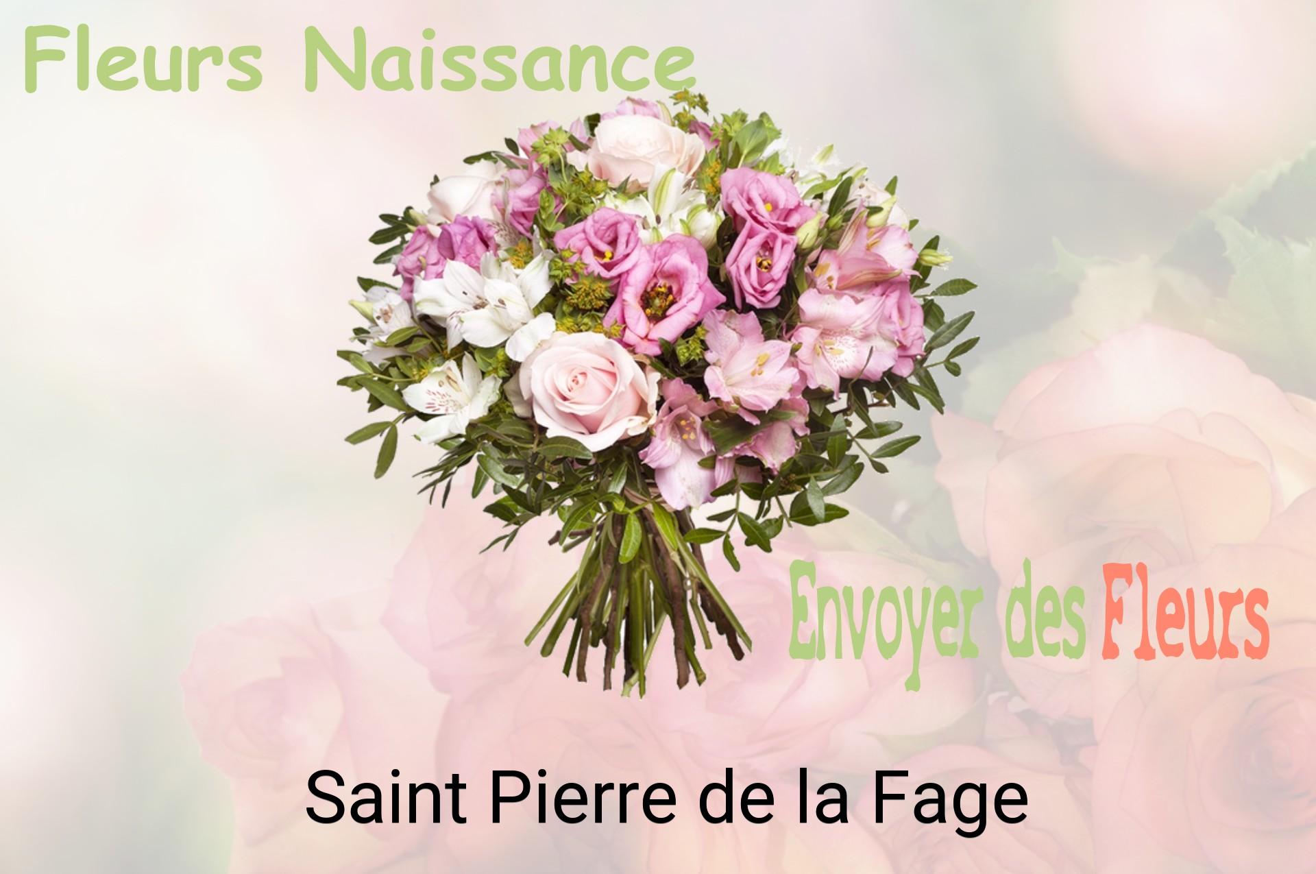 Bouquet de fleurs de naissance livré à Saint-Pierre-de-la-Fage